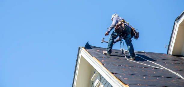 Roof Gutter Cleaning in East Point, GA